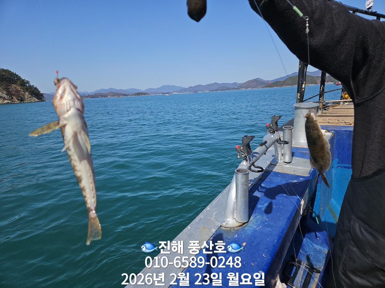 ����ڰ� �ø� �̹���