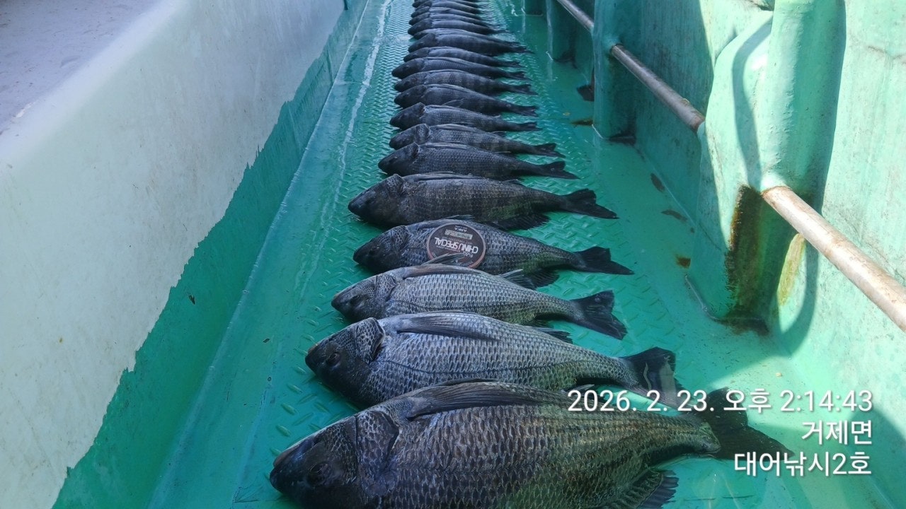 ����ڰ� �ø� �̹���