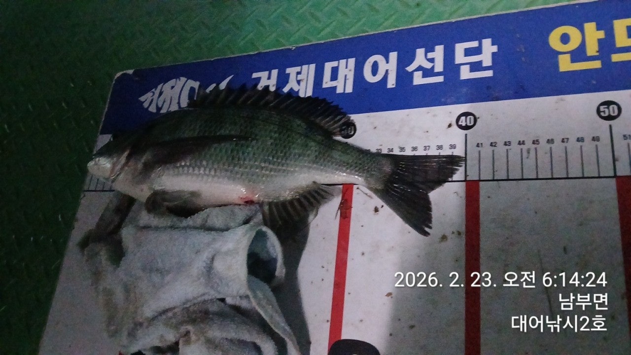 ����ڰ� �ø� �̹���