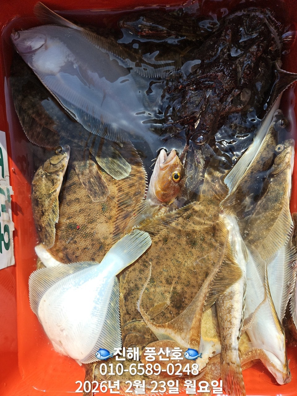 ����ڰ� �ø� �̹���