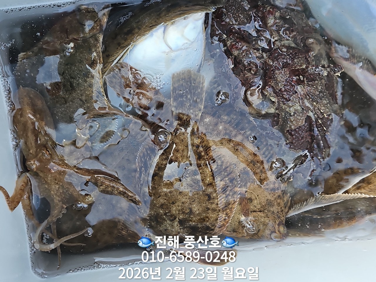 ����ڰ� �ø� �̹���