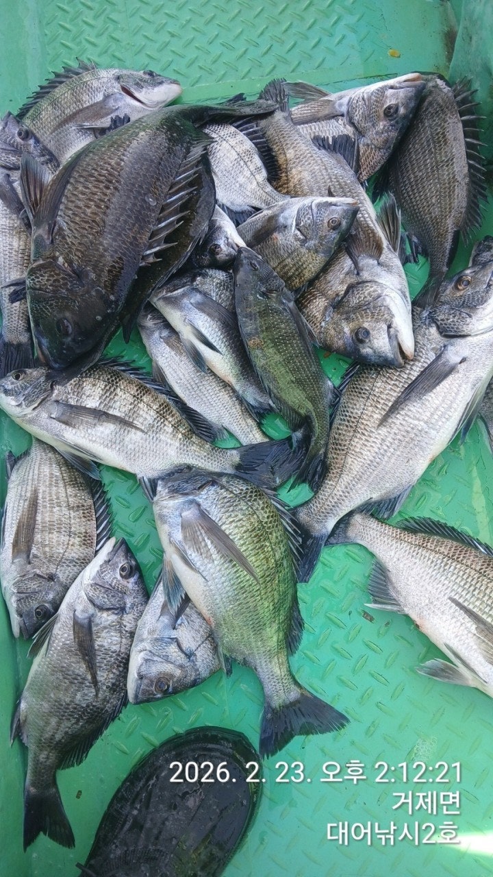 ����ڰ� �ø� �̹���