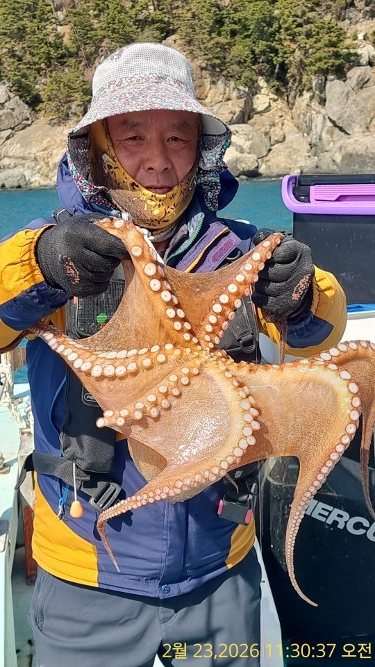 ����ڰ� �ø� �̹���