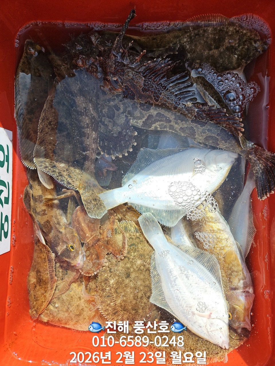 ����ڰ� �ø� �̹���