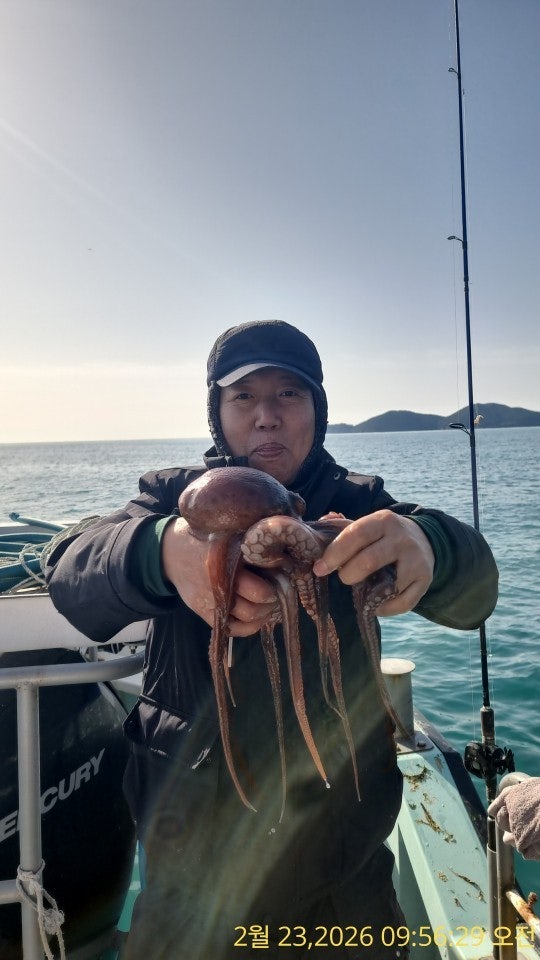 ����ڰ� �ø� �̹���