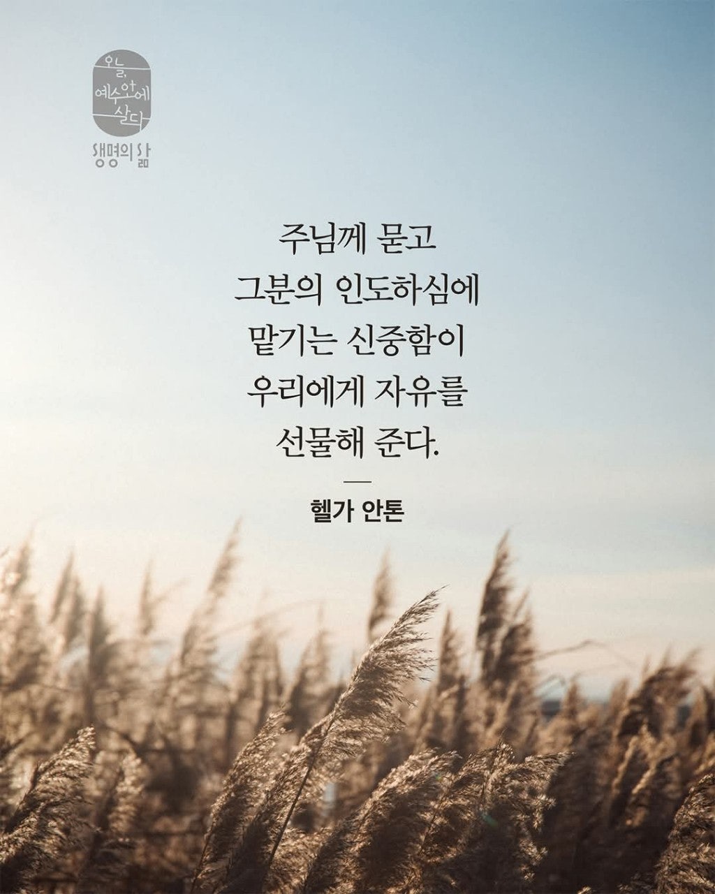 ����ڰ� �ø� �̹���