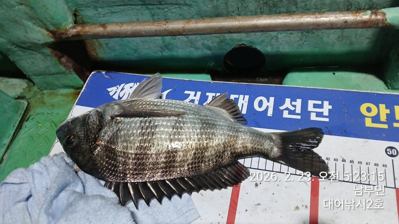 ����ڰ� �ø� �̹���