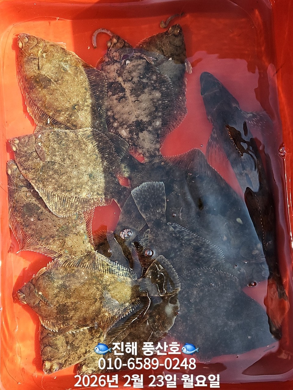 ����ڰ� �ø� �̹���