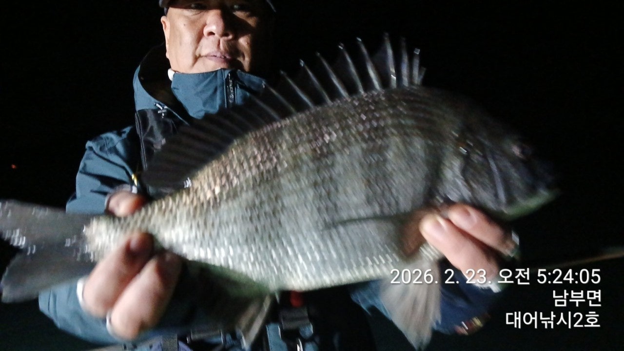 ����ڰ� �ø� �̹���