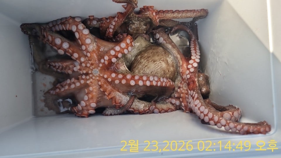 ����ڰ� �ø� �̹���