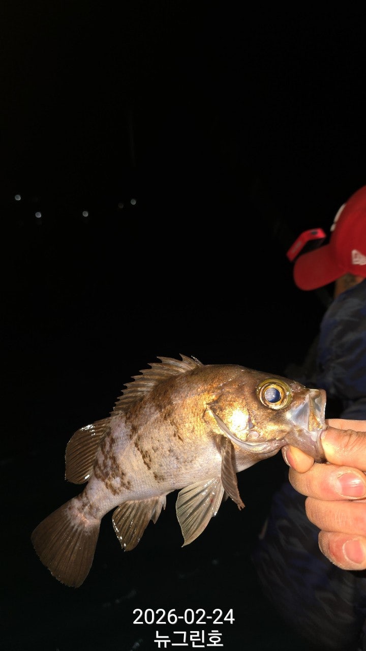 ����ڰ� �ø� �̹���