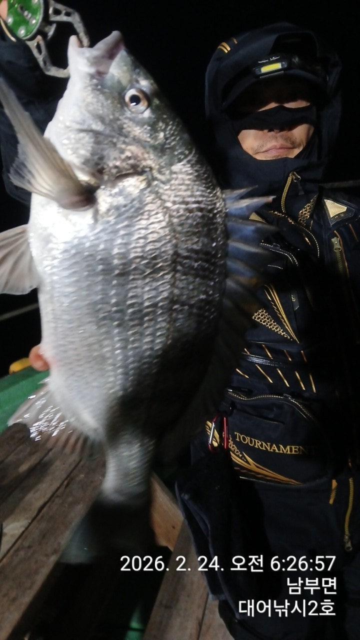 ����ڰ� �ø� �̹���