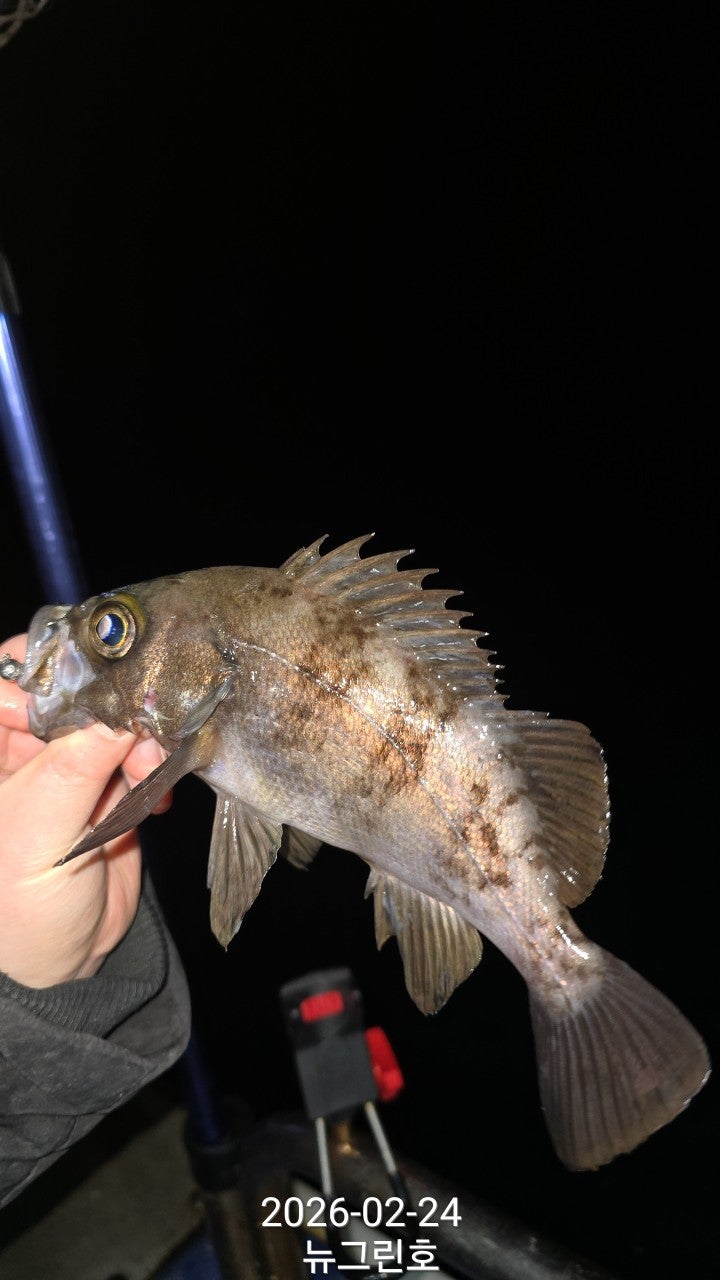 ����ڰ� �ø� �̹���