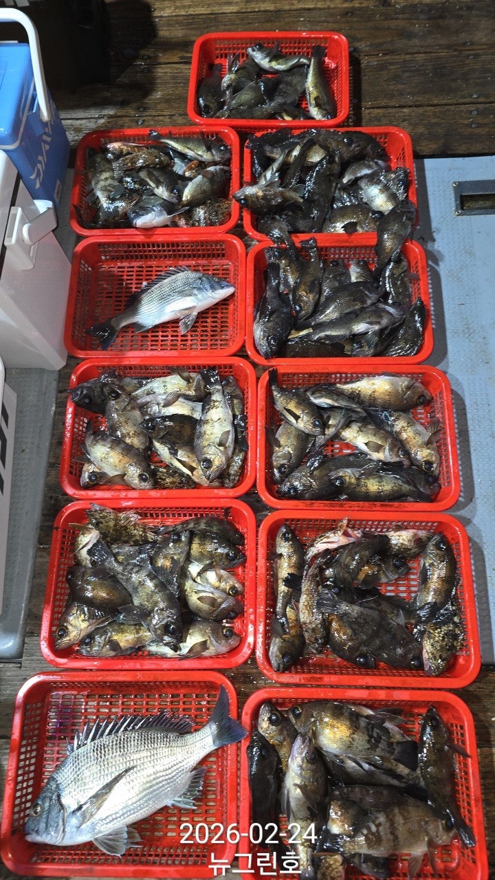 ����ڰ� �ø� �̹���