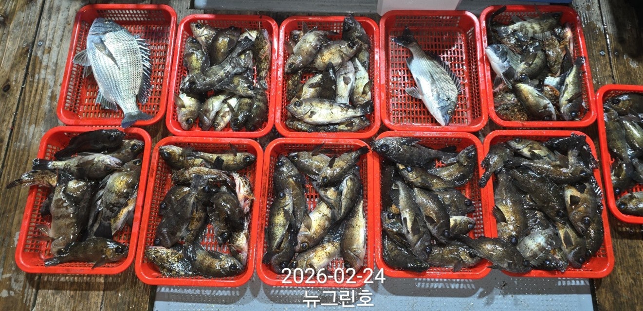 ����ڰ� �ø� �̹���