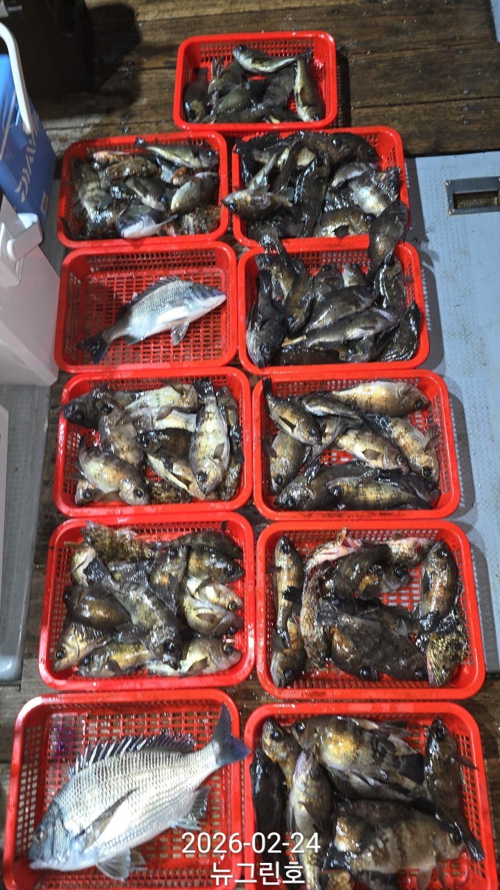 ����ڰ� �ø� �̹���