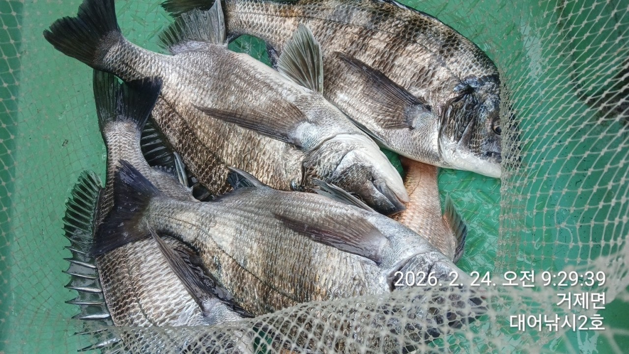 ����ڰ� �ø� �̹���