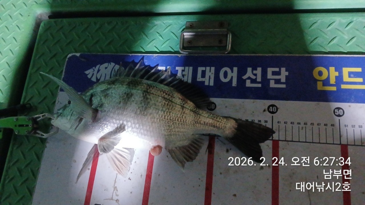 ����ڰ� �ø� �̹���