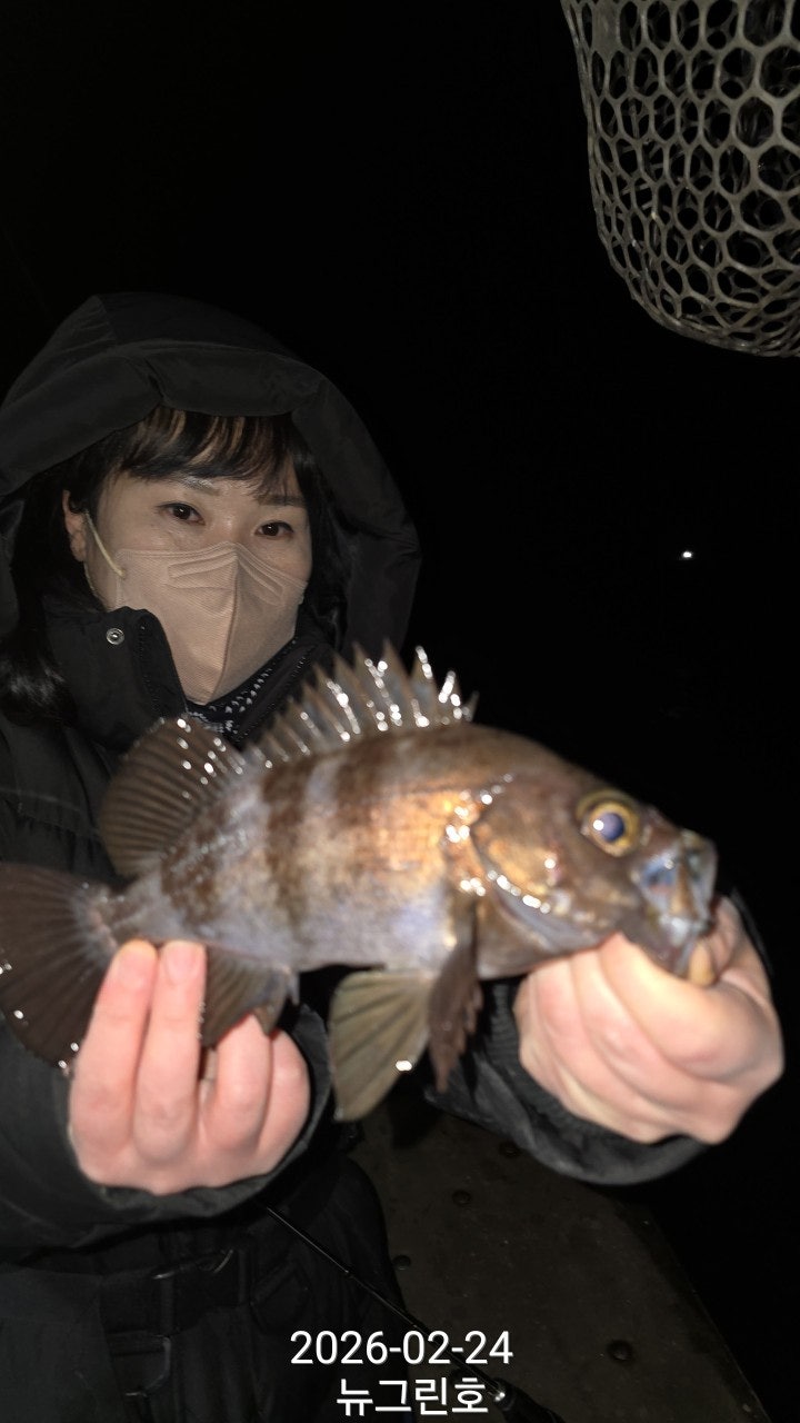 ����ڰ� �ø� �̹���