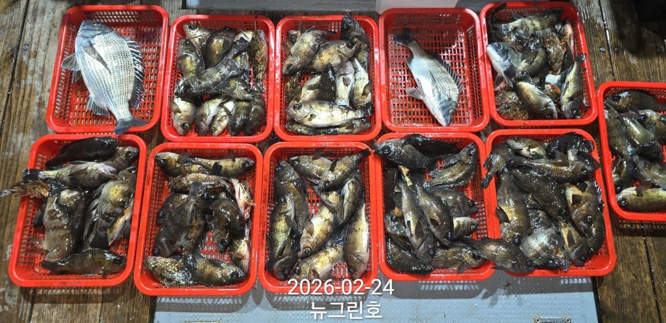 ����ڰ� �ø� �̹���