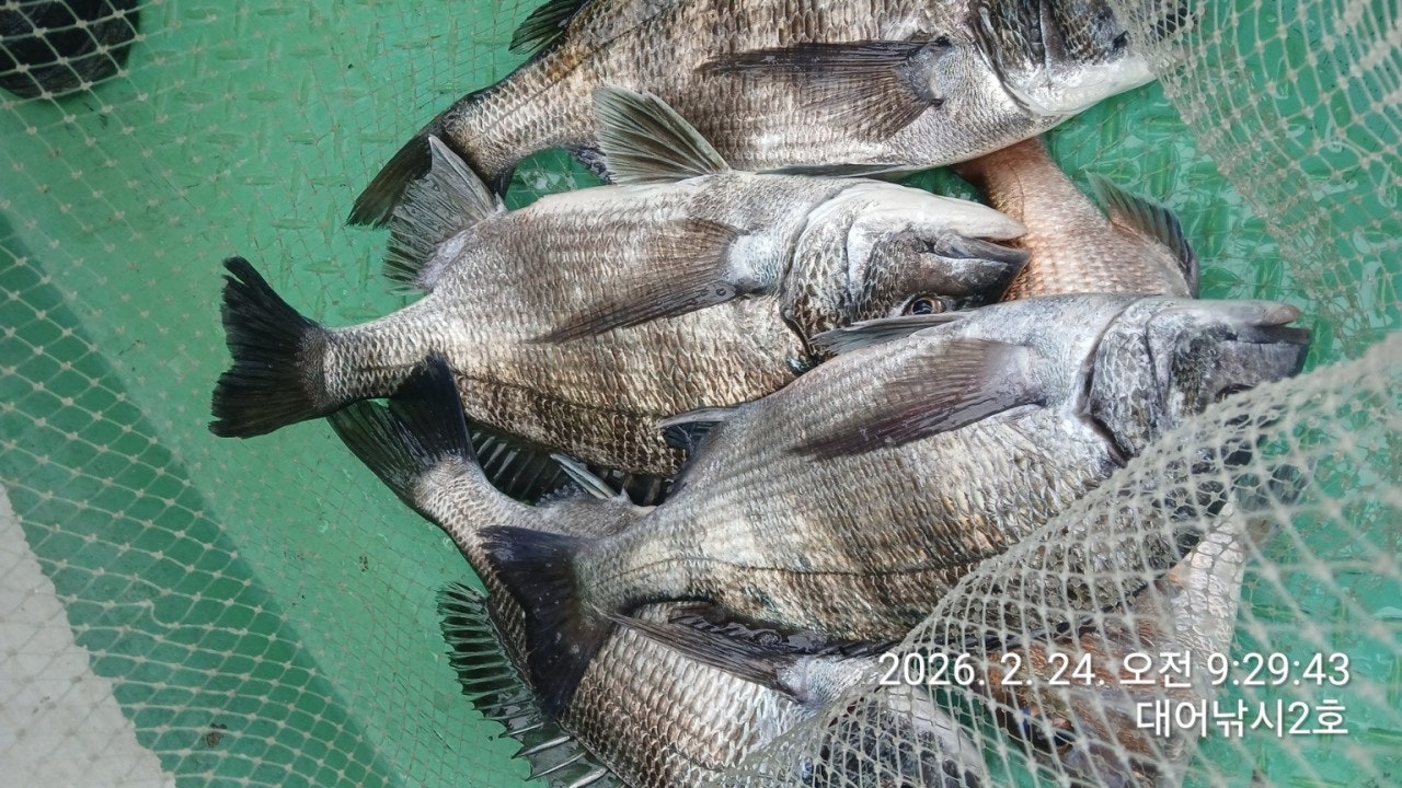 ����ڰ� �ø� �̹���