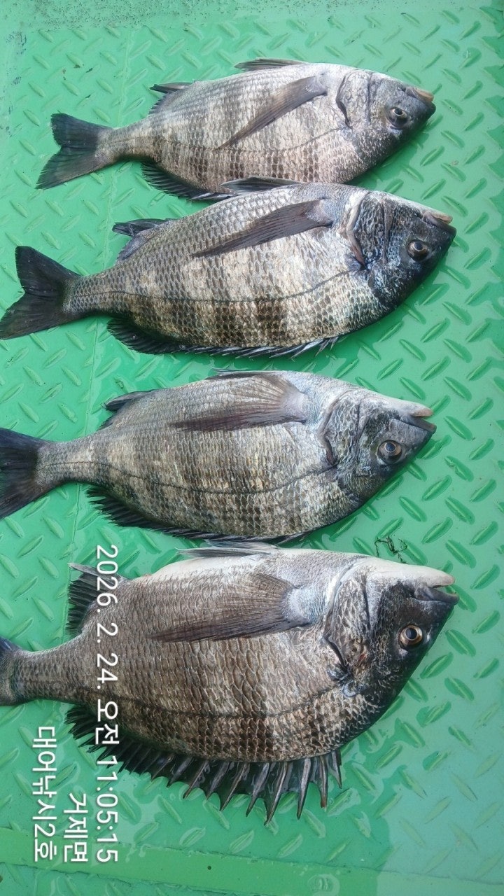 ����ڰ� �ø� �̹���