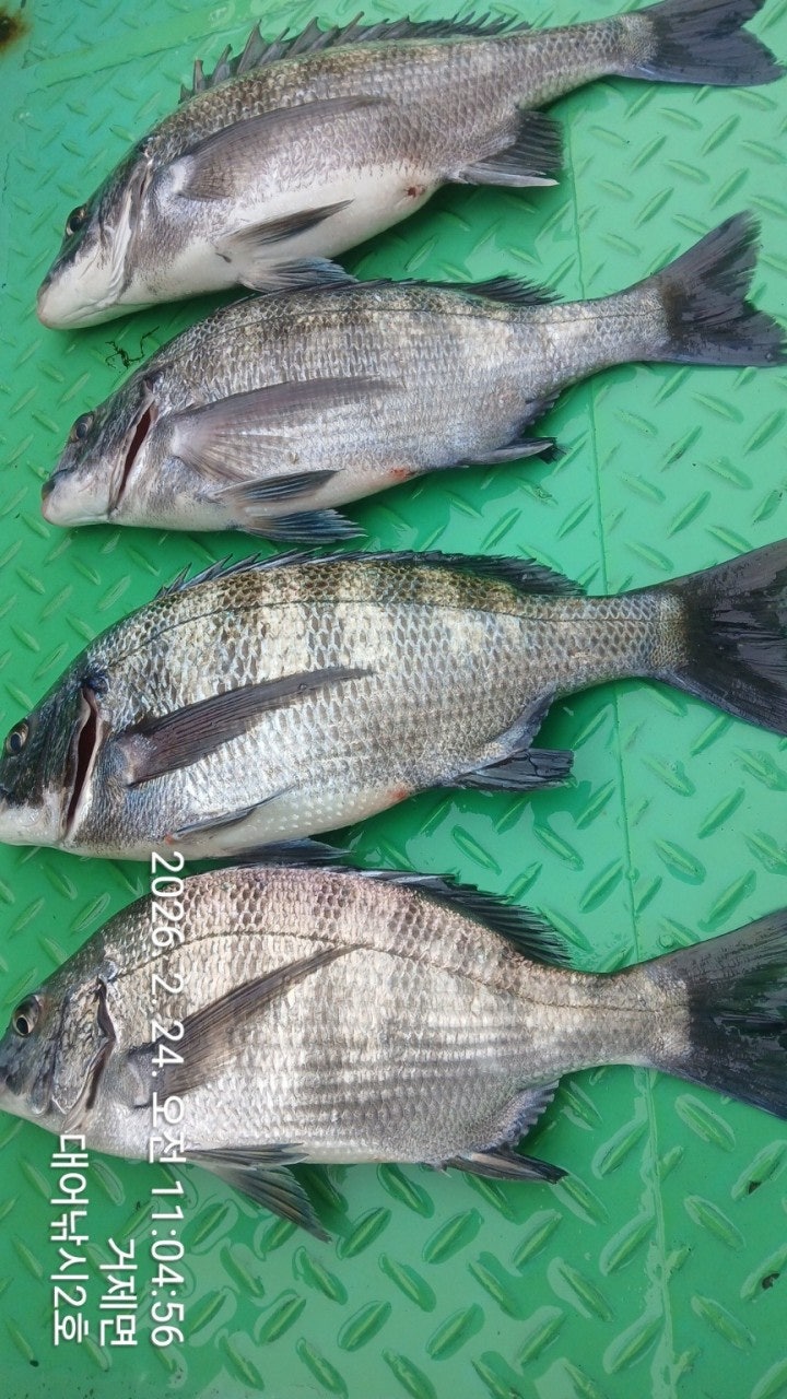 ����ڰ� �ø� �̹���