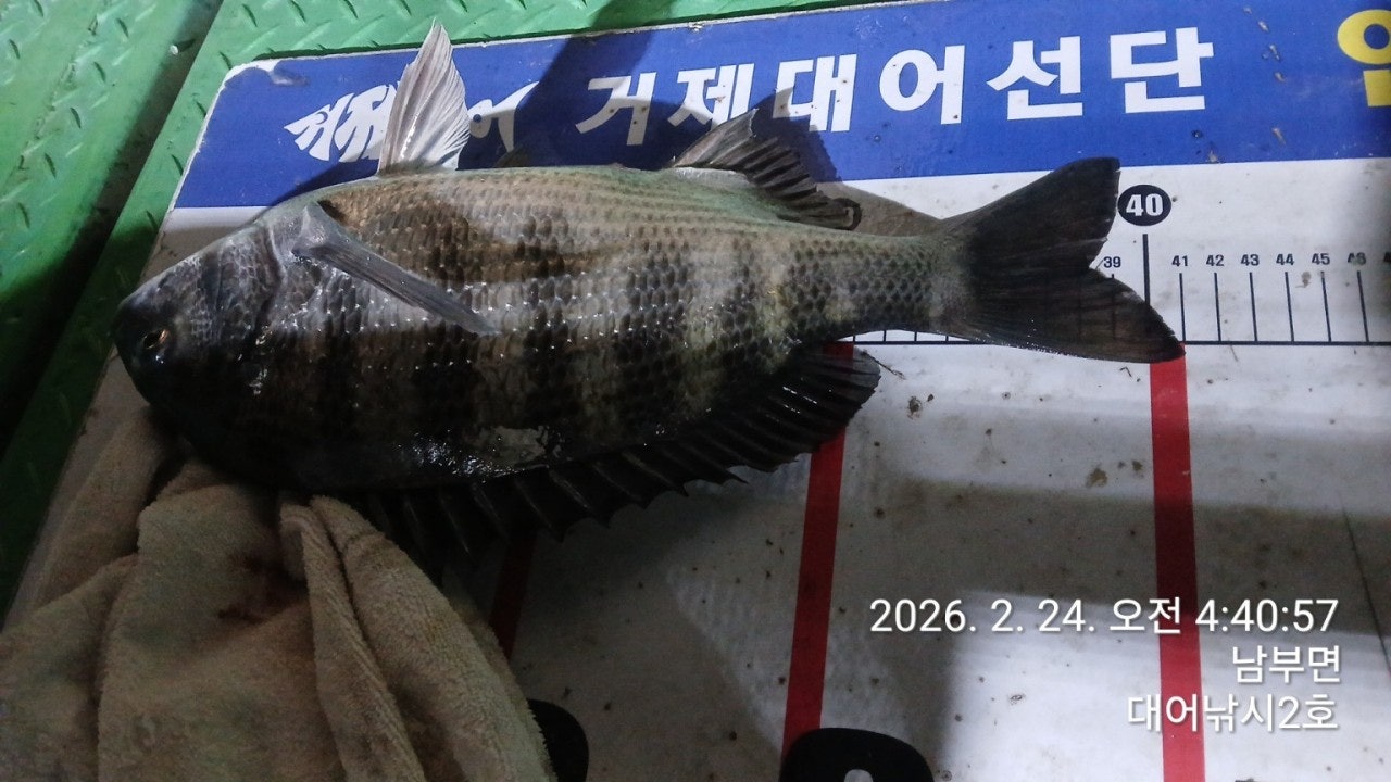 ����ڰ� �ø� �̹���