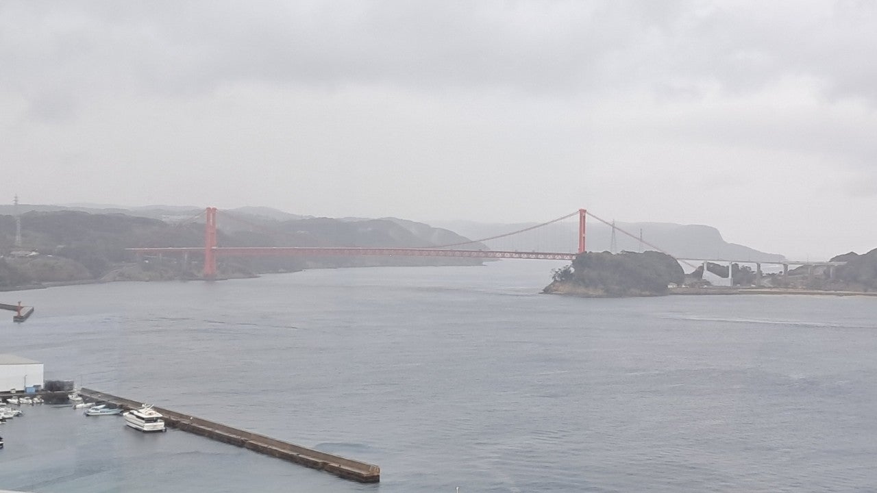 ����ڰ� �ø� �̹���