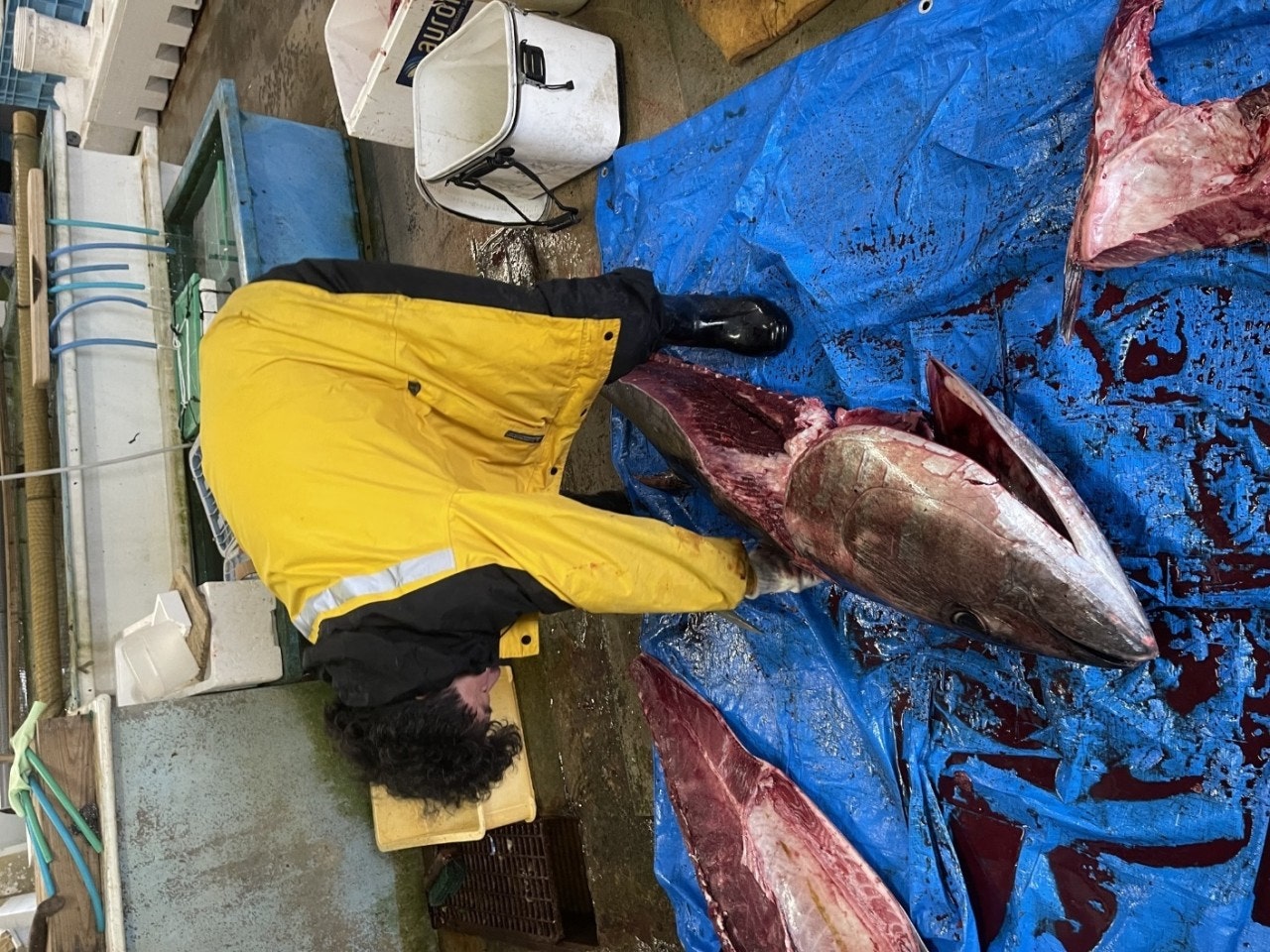 ����ڰ� �ø� �̹���