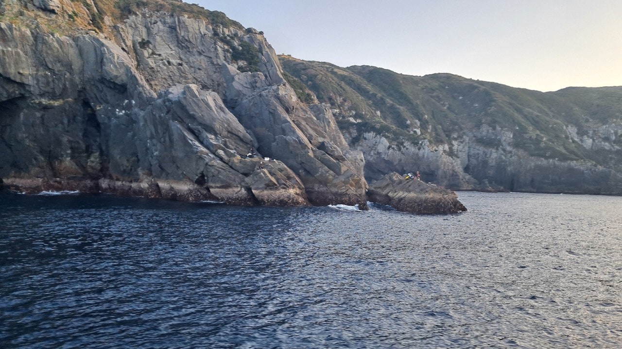 ����ڰ� �ø� �̹���