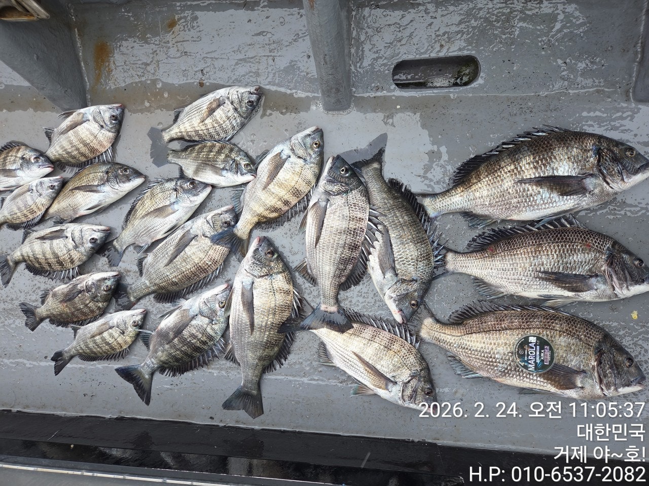 ����ڰ� �ø� �̹���