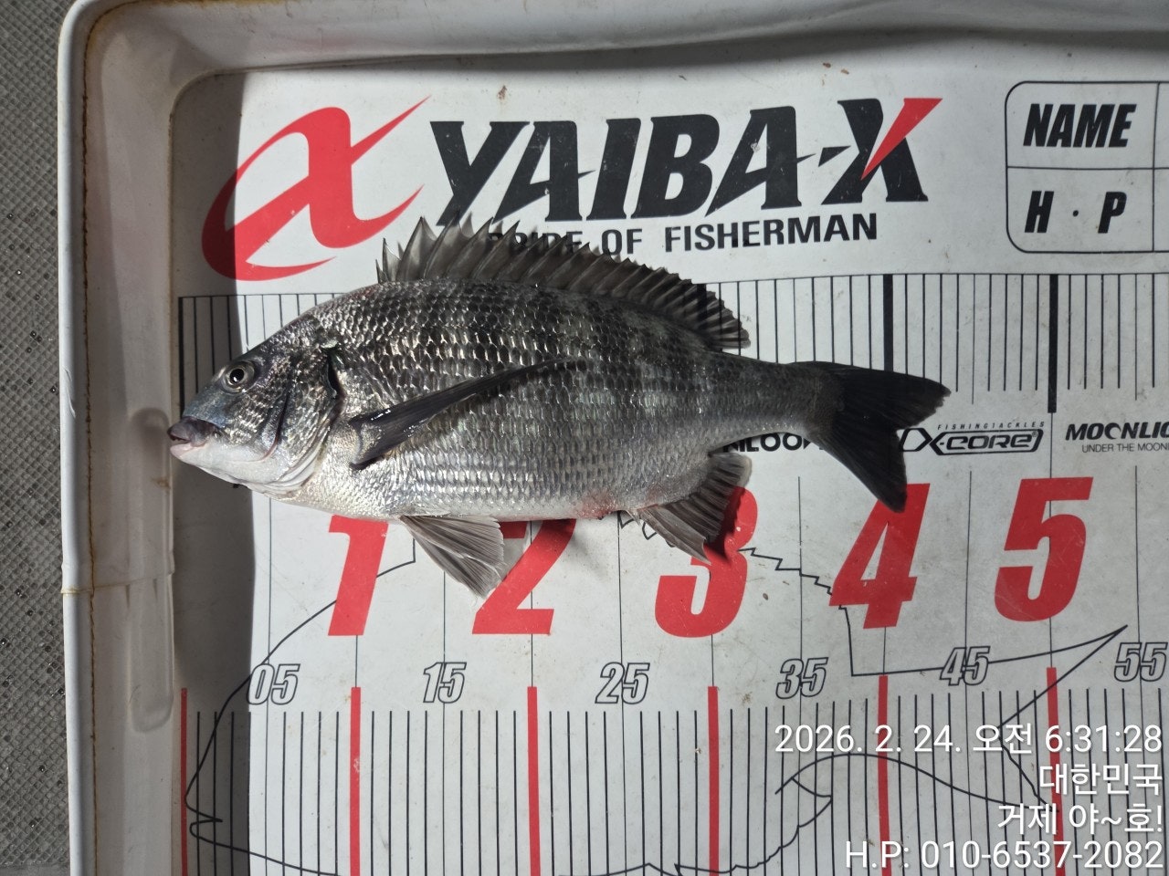 ����ڰ� �ø� �̹���