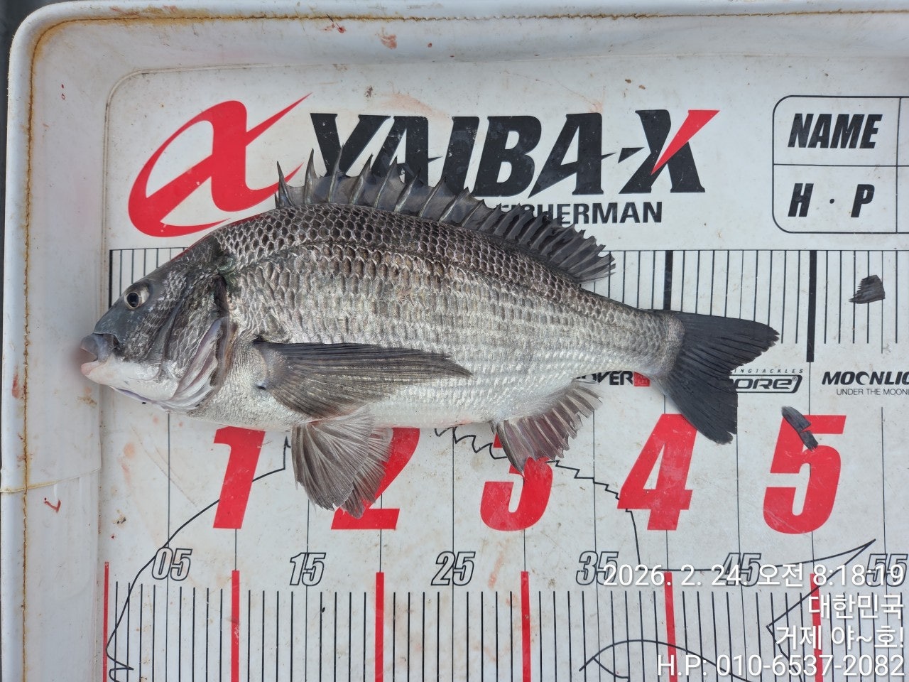 ����ڰ� �ø� �̹���