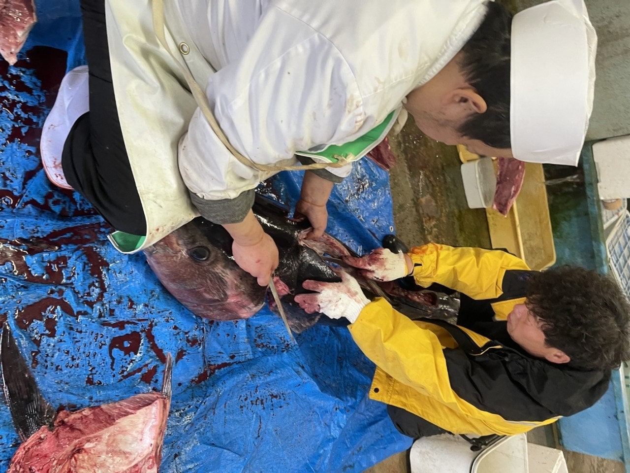 ����ڰ� �ø� �̹���