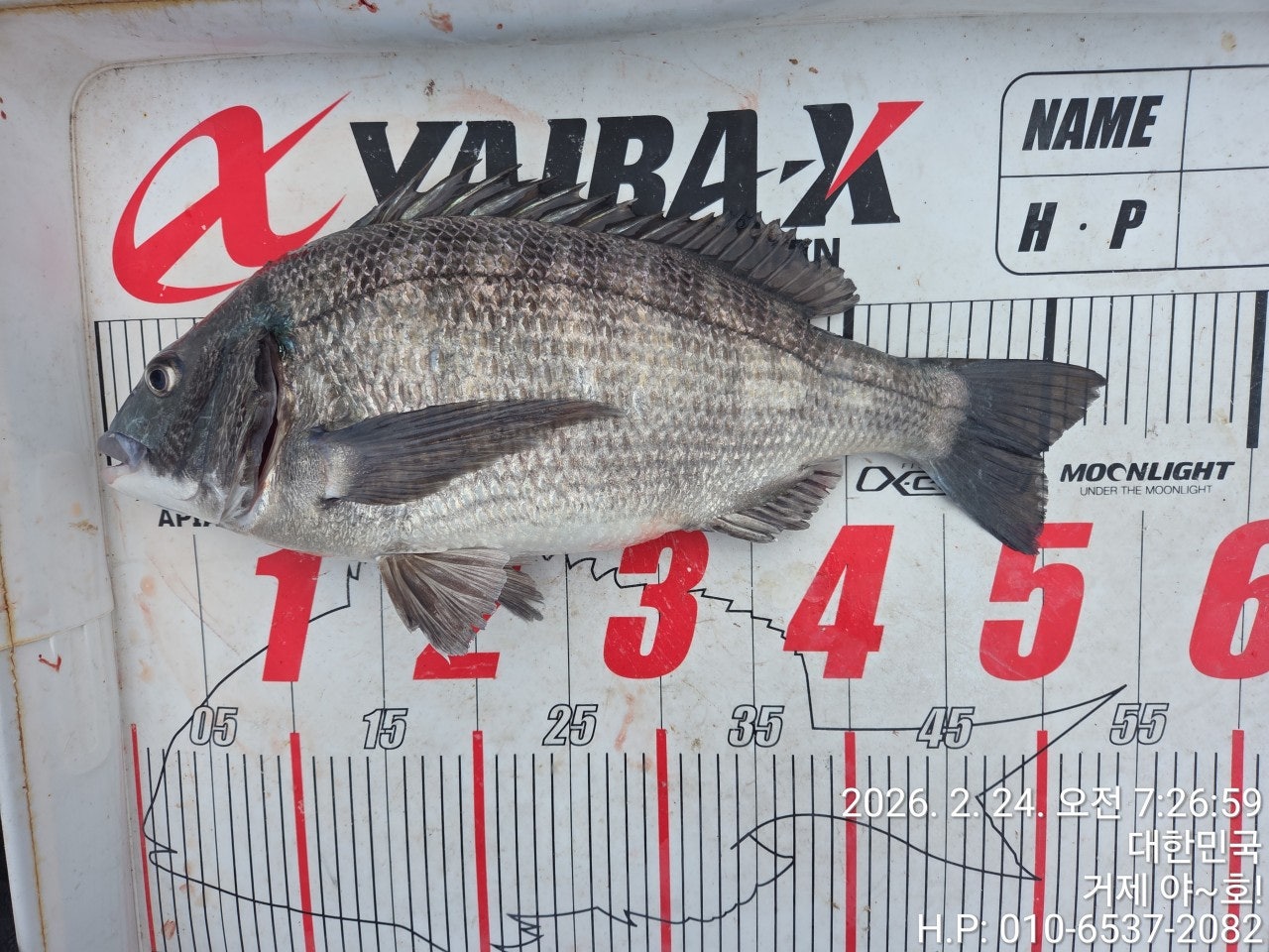 ����ڰ� �ø� �̹���