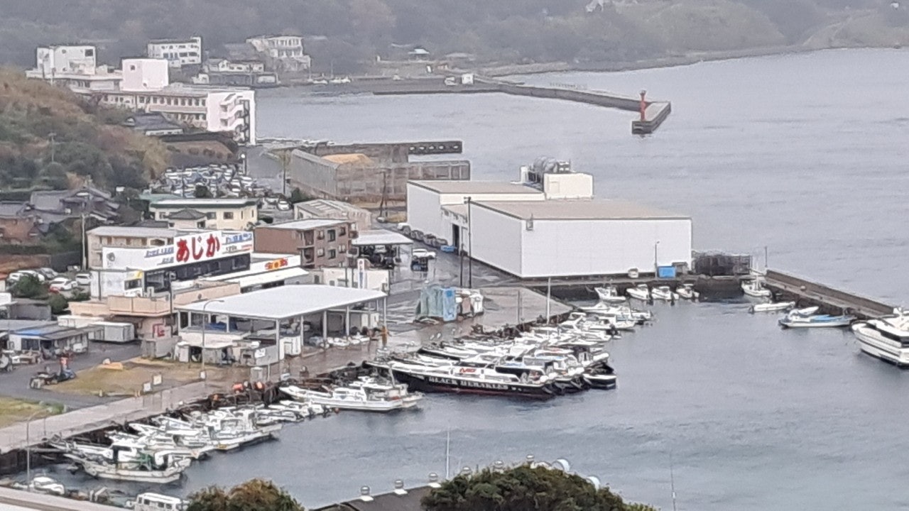 ����ڰ� �ø� �̹���