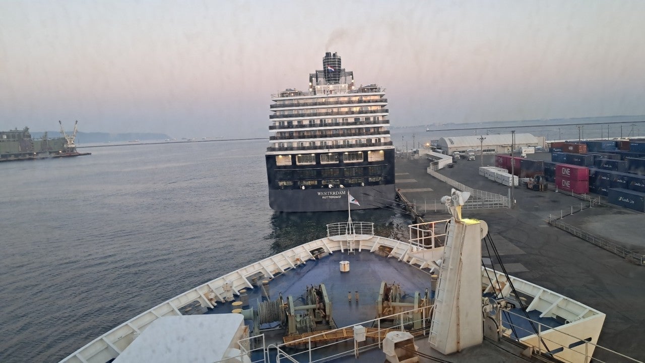 ����ڰ� �ø� �̹���