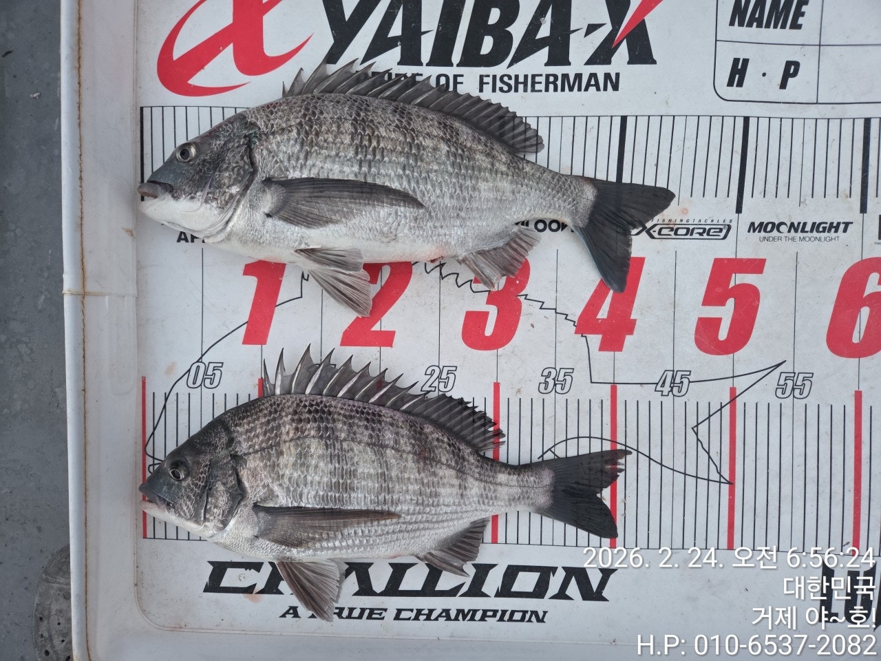 ����ڰ� �ø� �̹���