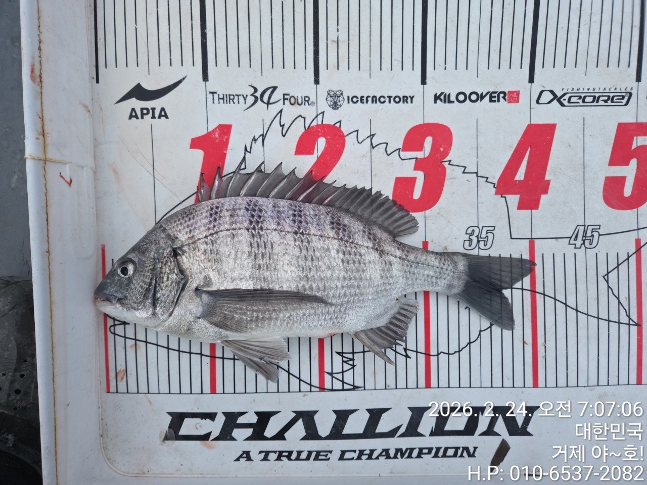 ����ڰ� �ø� �̹���