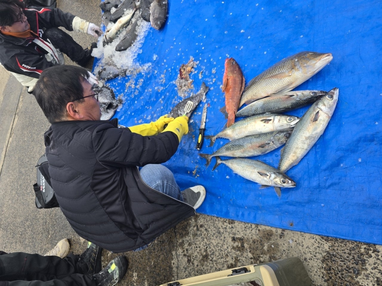 ����ڰ� �ø� �̹���