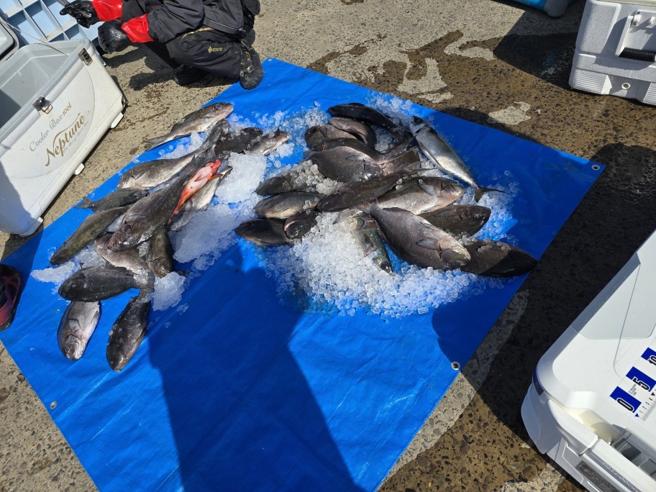 ����ڰ� �ø� �̹���