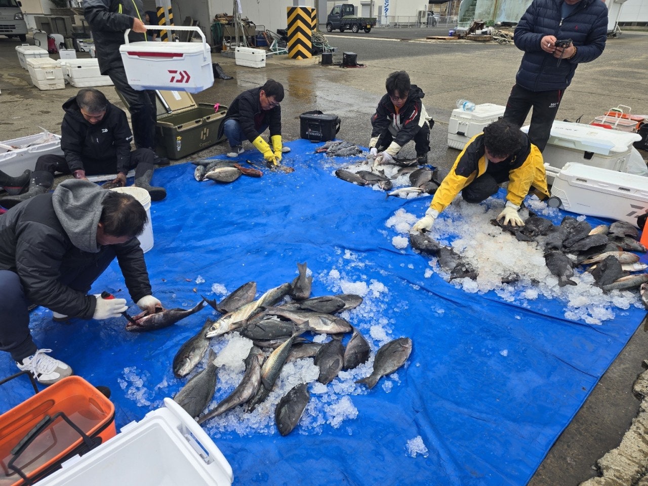 ����ڰ� �ø� �̹���