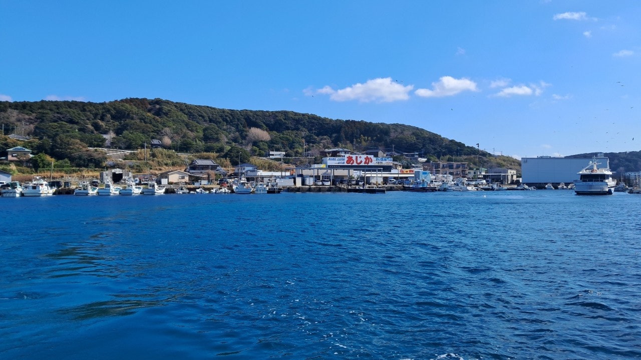 ����ڰ� �ø� �̹���