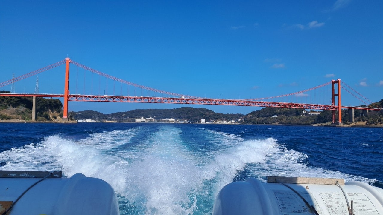 ����ڰ� �ø� �̹���