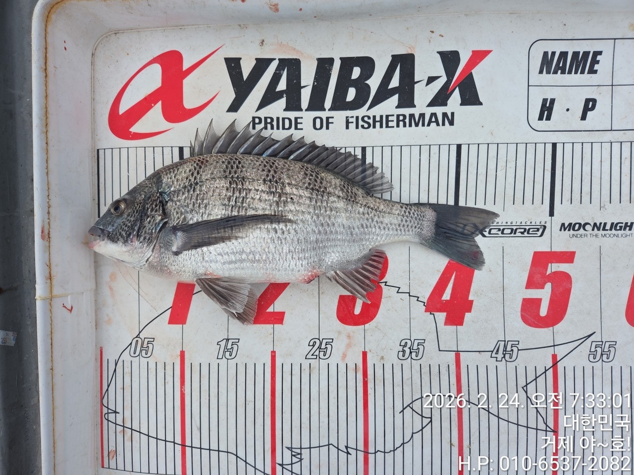 ����ڰ� �ø� �̹���