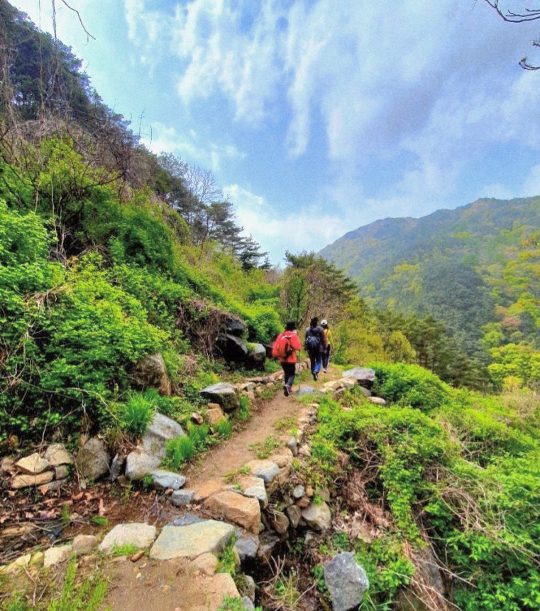 사용자가 올린 이미지