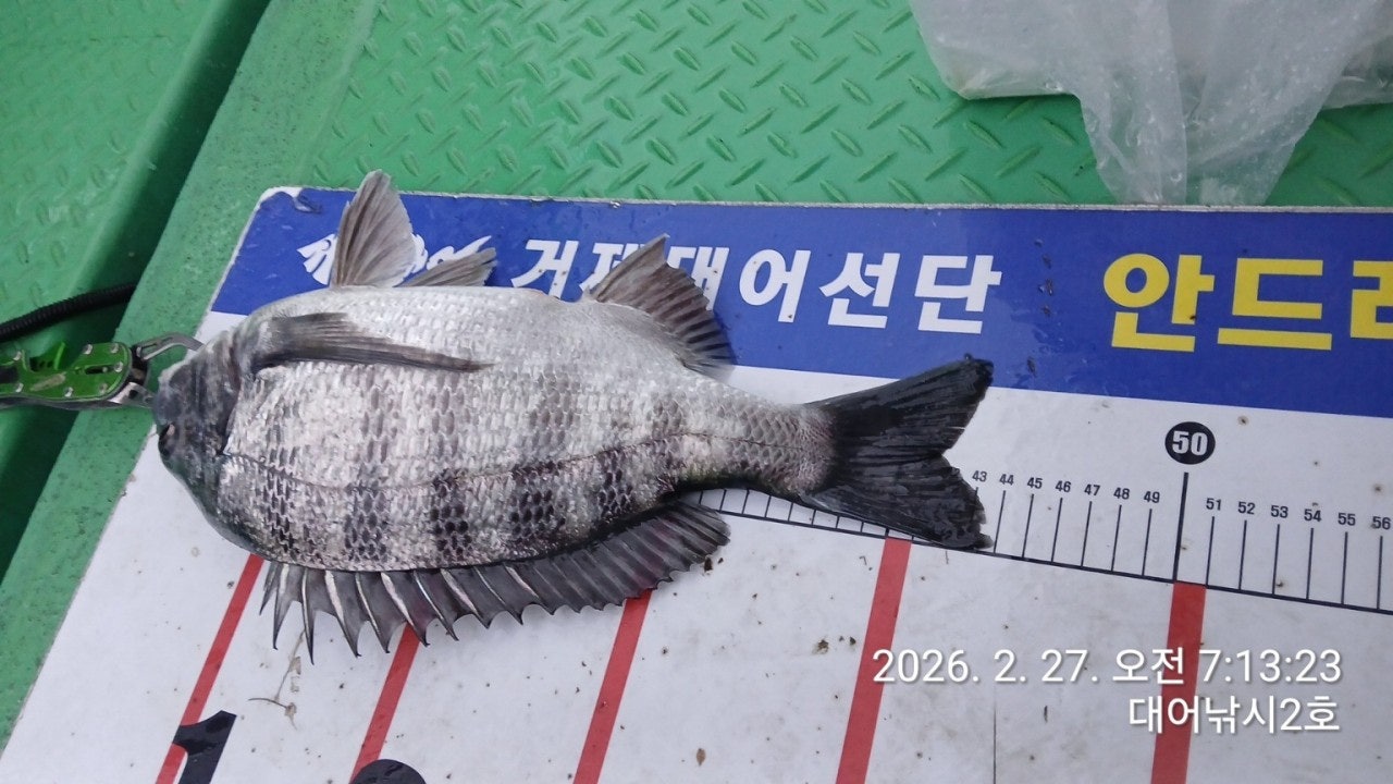 ����ڰ� �ø� �̹���