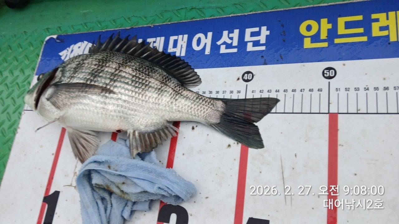 ����ڰ� �ø� �̹���