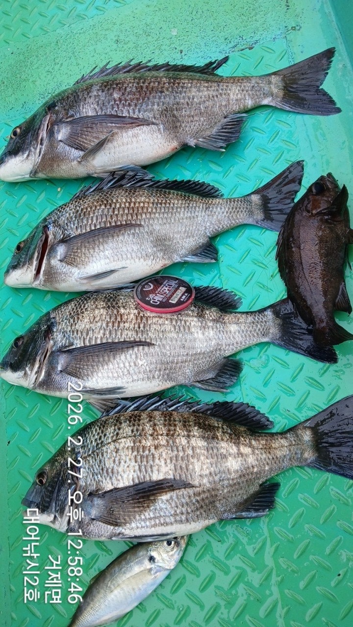 ����ڰ� �ø� �̹���